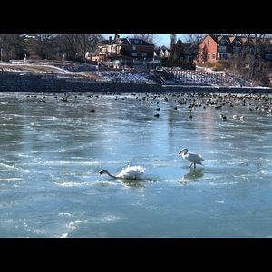 Meet your Posher, Hind